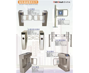 枣庄智能通道摆闸系列